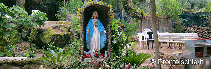 Dal 1994 la Madonna appare nel bosco di Zaro, a Forio
