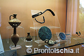 Visita guidata al Museo di Villa Arbusto 59