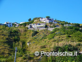 Il fascino nascosto di Ischia 6