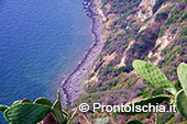 Gli itinerari geo-ambientali dell'isola d'Ischia 0