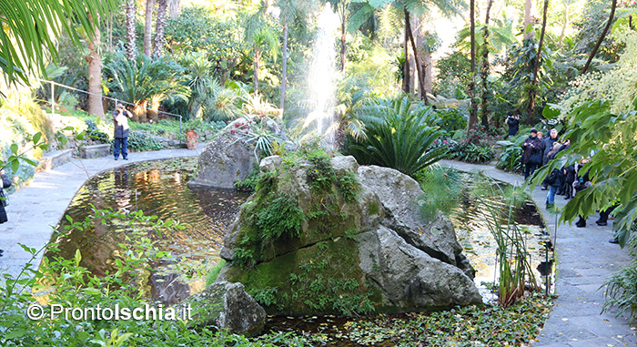 Il fascino invernale dei Giardini La Mortella