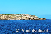 Ventotene, alla scoperta di un'isola 1