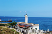 Ventotene, alla scoperta di un'isola 26