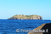 Ventotene, alla scoperta di un'isola 48