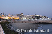 A pesca di lampughe sull'isola d'Ischia 2