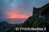 Ischia, Andar per Cantine: Frassitelli al tramonto 28
