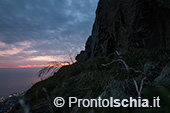 Ischia, Andar per Cantine: Frassitelli al tramonto 34