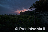 Ischia, Andar per Cantine: Frassitelli al tramonto 36